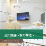 豆知識編～歯の構造～