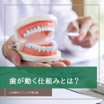歯が動く仕組みとは？